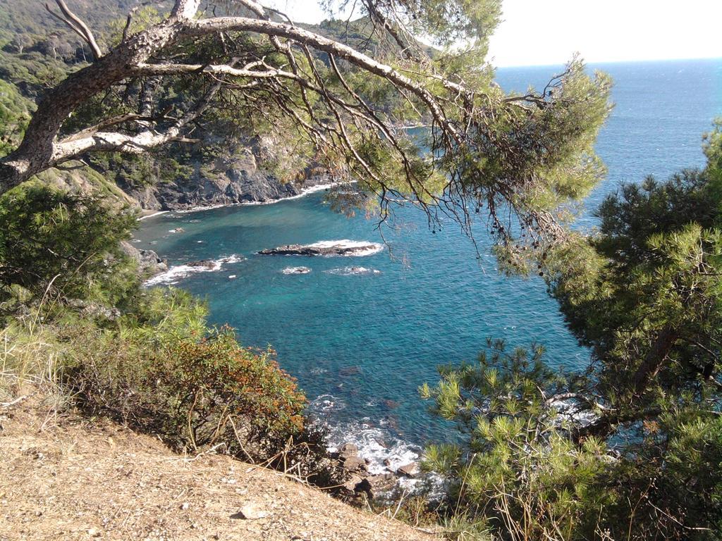 La Petite Maison De Melanie 30M Mer Six-Fours-les-Plages Kültér fotó