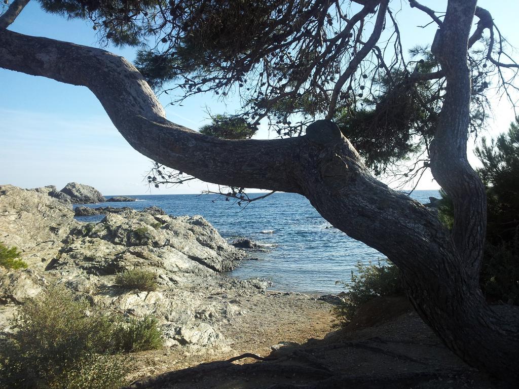 La Petite Maison De Melanie 30M Mer Six-Fours-les-Plages Kültér fotó