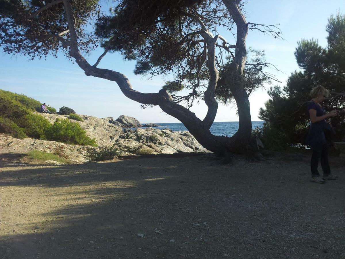 La Petite Maison De Melanie 30M Mer Six-Fours-les-Plages Kültér fotó